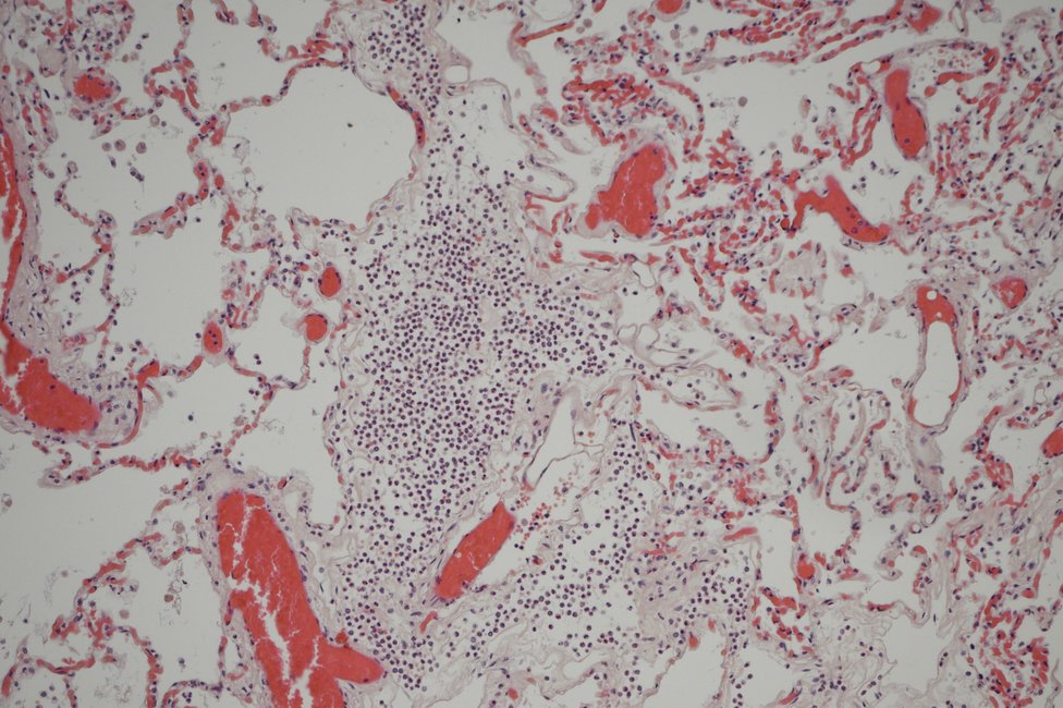 © MedUni Wien / Katharina Stolz