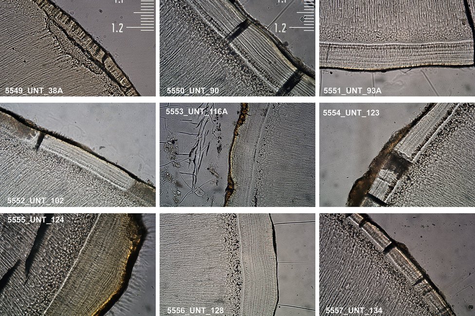 © MedUni Wien / Fabian Kanz