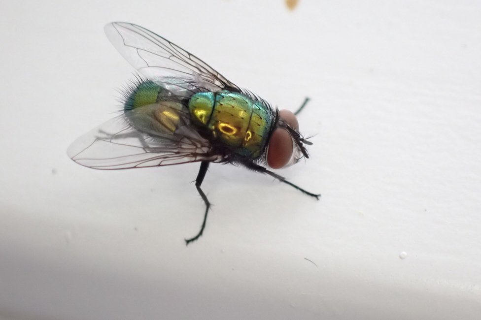 © MedUni Wien / Dominik Javorski © MedUni Wien / Dominik Javorski