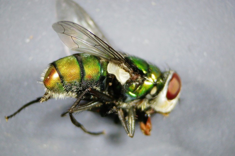 © MedUni Wien / Dominik Javorski © MedUni Wien / Dominik Javorski