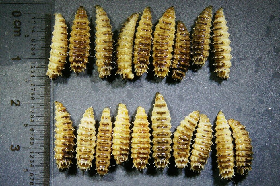 © MedUni Wien / Dominik Javorski © MedUni Wien / Dominik Javorski