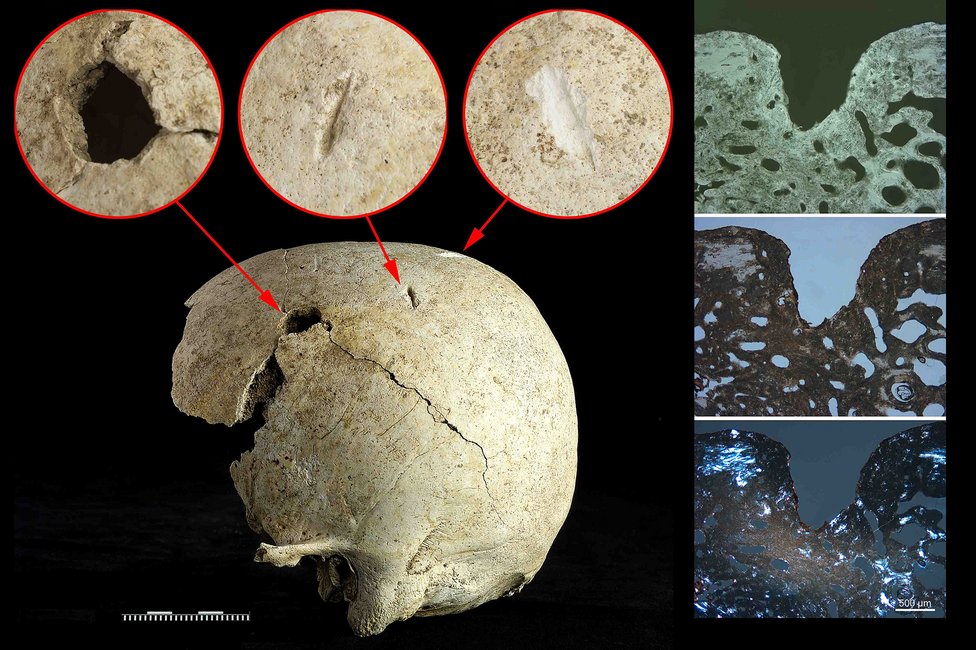 © MedUni Wien / Fabian Kanz