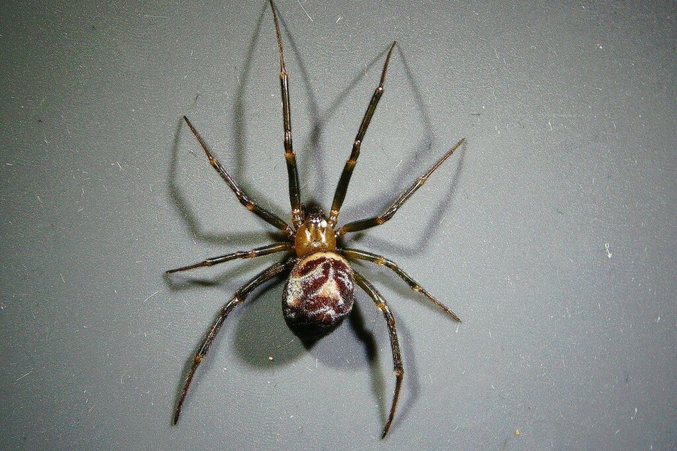 © MedUni Wien / Dominik Javorski © MedUni Wien / Dominik Javorski