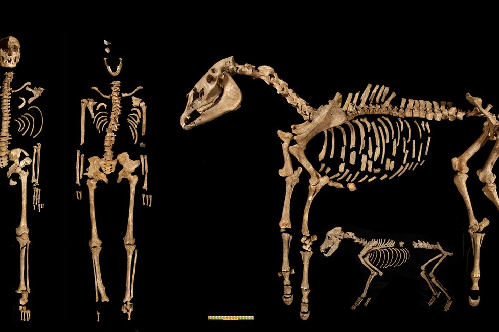 © MedUni Wien / Fabian Kanz