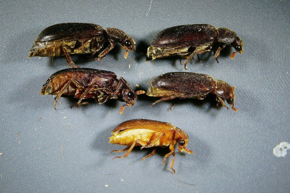 © MedUni Wien / Dominik Javorski © MedUni Wien / Dominik Javorski