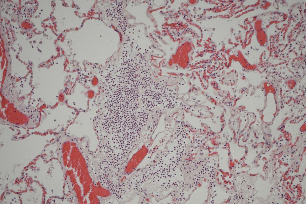 © MedUni Wien / Katharina Stolz